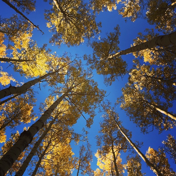 Meet your Posher, Ambra - Picture 1 of 2